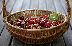 basket full of cherries