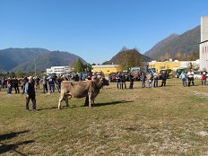 IMG_1884 (003).JPG