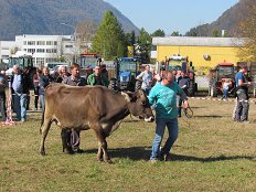 IMG_1885 (003).JPG
