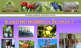 Slika kako do dobrega žganja foto