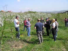 strokovna sadjarska ekskurzija v Srbijo Kmetijsko ogzdarski zavod Nova Gorica 1.JPG