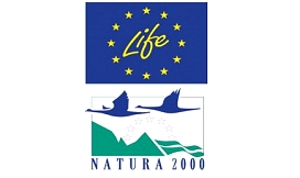 Slika life in natura 2