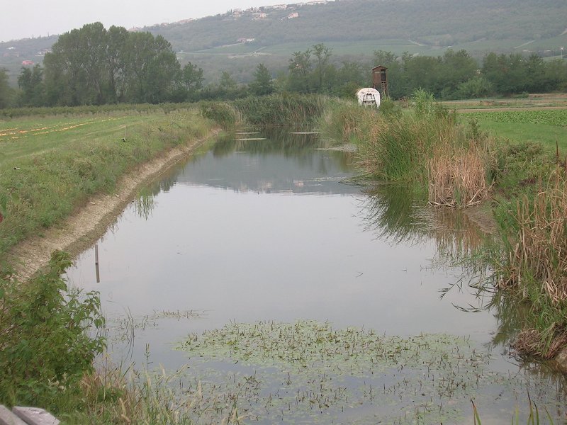 Zadrževalnik vode.jpg