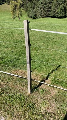 Ekskurzija Švica 2020_Visoka elektro ograja