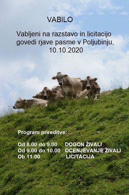 Poljubinj - 2020