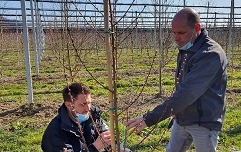 Demonstracija rezi breskev