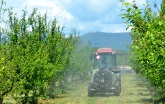 tecaji ffs obletnica