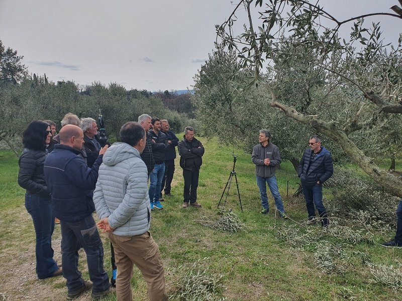 Medn.delavnica rez oljk 2022_Gostovali smo v oljčniku kmetije Jevnikar na Beneši.