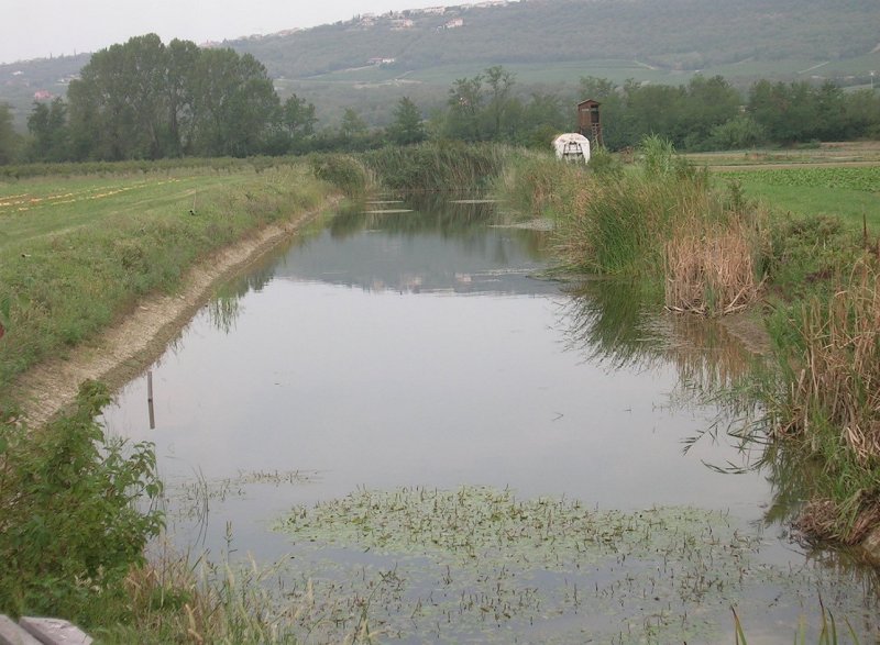 Primer ureditve zadrževalnika na pridelovalnem območju Sermin