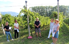 Strokovna vinogradniška delavnica, 25.8.2022