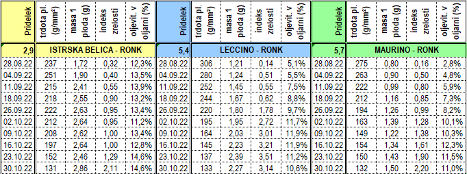 dozorevanje oljk_7.11.2022_1