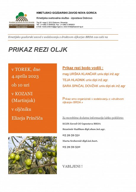 VABILO ZA prikaz rezi - Brda 4.4.-page-001