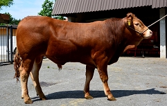 Slika 9720 (6)-1