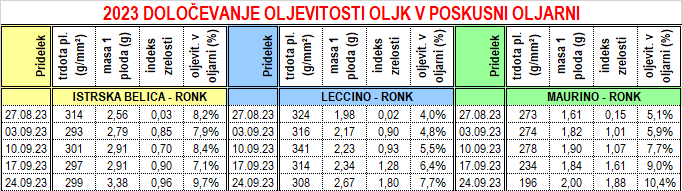 dozorevanje oljk_27.9.2023_1