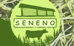 seneno