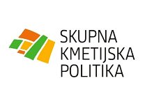 logo_SKP