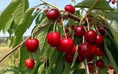 IMG_20220602_105910