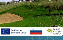 Posnetek zaslona 2024-07-05 073842