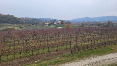 20241126_135239.jpg