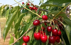 IMG_20220602_105913
