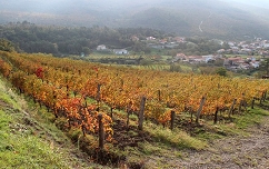 Slika IMG_7096