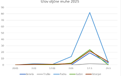 graf_ulov oljcne muhe_2025