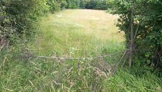 odstranjevanje zarasti-20062024