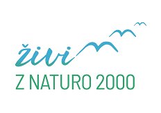 napis-živim