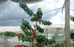 Slika IMG_20250516_134928