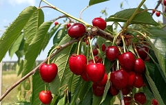 IMG_20220602_105910
