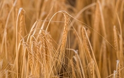 Slika Posnetek zaslona 2026-03-03 134944