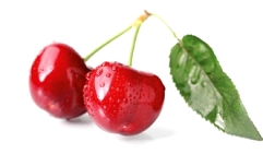 Slika Posnetek zaslona 2026-03-19 133009