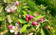 Slika 20260324_114300