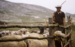 Gora se ne bo premaknila