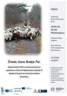 Gora se ne bo premaknila_projekcija filma Kulturni dom NG_vabilo