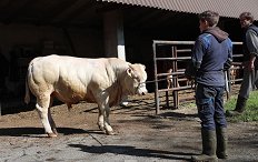 Odbira mesni - 21.4.26 - 2 - 2