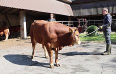 Odbira mesni - 21.4.26 - 4 - 2