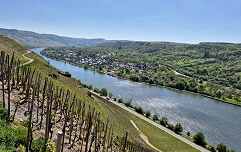 Slika Vinorodni okoliš Mosel