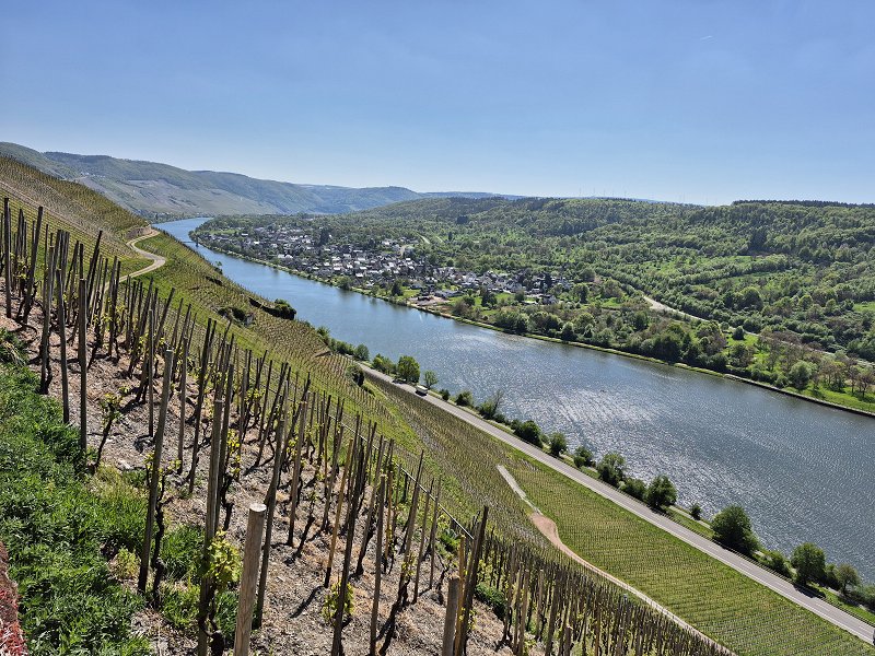 Vinorodni okoliš Mosel