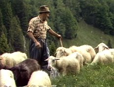 Naško Križnar_Slike iz Trente_4