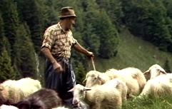 Slika Naško Križnar_Slike iz Trente_4