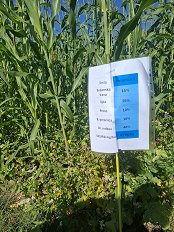 1000035481.jpg