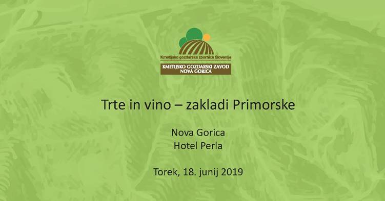 Trte-in-vino-19-1